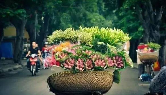 1507701312137340.jpg 賣花.jpg